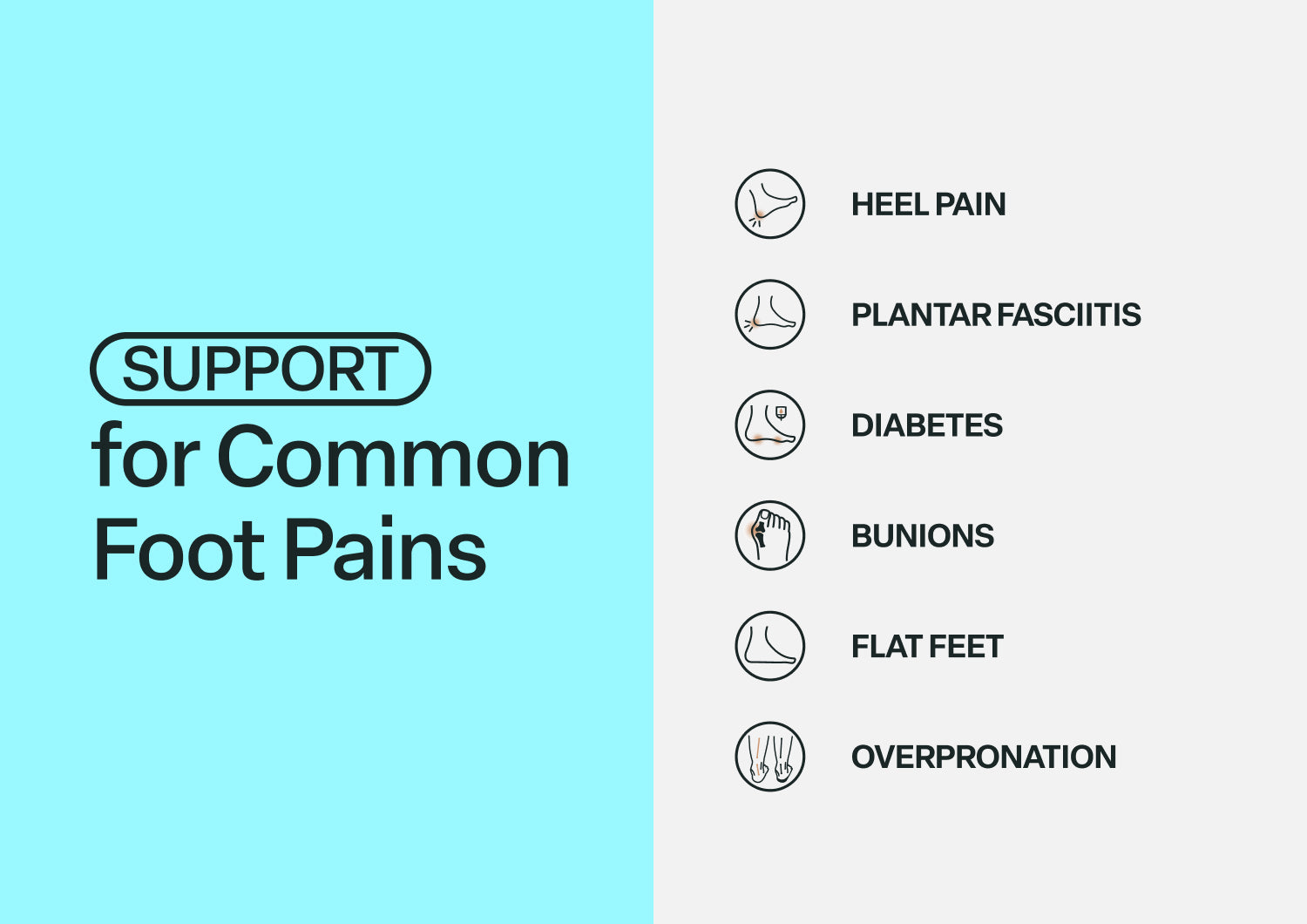 Hazel - Platinum Metallic