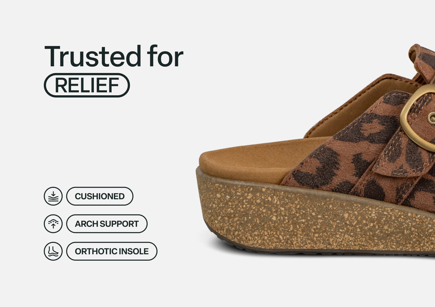 Casey - Leopard