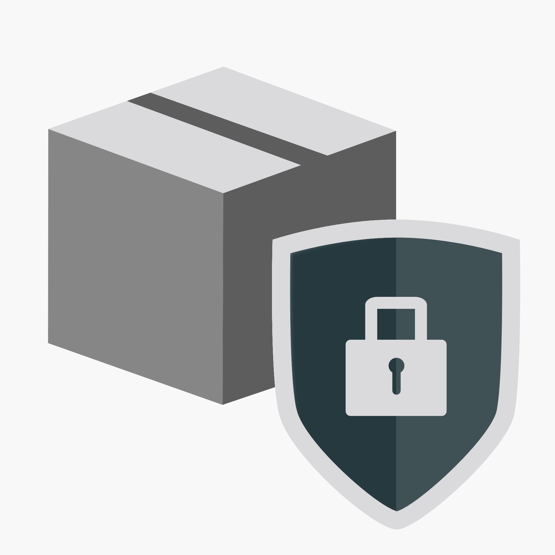 Package Protection